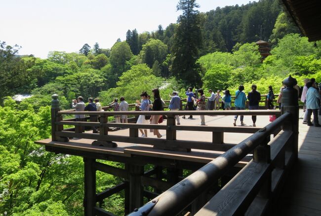 奈良の花のお寺の一つ、長谷寺の紹介です。清少納言の『枕草子』、紫式部の『源氏物語』、菅原孝標女の『更級日記』など、多くの古典文学にも登場するお寺です。