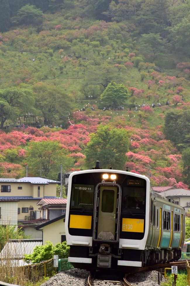 塙町にあります風呂山公園に訪れて、この時期見頃となる山ツツジを鑑賞してきました。