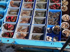 2015年秋　上海蟹を食べに香港へ　その1