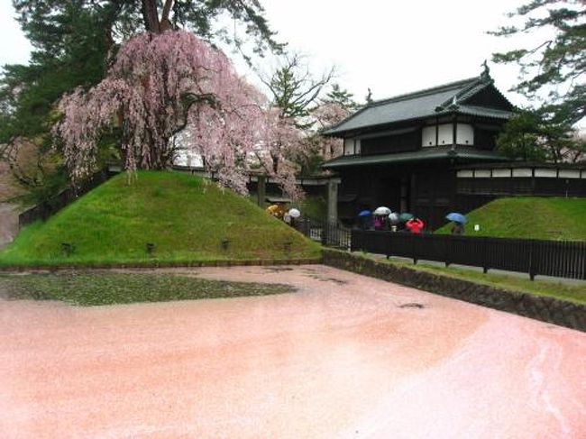 2016年のゴールデンウィークは青森（弘前・平川・黒石・八戸・青森）と北海道（札幌・小樽・函館・松前）を周遊してきました。天気はいまいちな日が多かったですが、事前の天気予報よりは晴れた日が結構ありました。<br /><br />★１の旅行記散歩ルート<br />西船橋駅→弘前駅→弘前城（日本100名城）→アンジェリック（アップルパイ）→弘前駅<br /><br />１．弘前：夜行バスで弘前へ～雨で桜散り始めの弘前城←★今ここ<br />２．平川：東北の駅百選 津軽尾上駅～『借りぐらしのアリエッティ』舞台モデルの盛美園<br />３．黒石：中町こみせ通り散策～黒石つゆやきそば<br />４．弘前：夜桜とライトアップされた弘前城～三忠食堂の中華そば<br />５．弘前：日本１００名城 弘前城と桜と岩木山～三忠食堂の津軽そば<br />６．弘前：弘前：弘前洋館めぐり～弘前城（たか丸くん）～八戸へ移動<br />７．八戸：館鼻岸壁の朝市～ウミネコ繁殖地の蕪島<br />８．八戸：海沿いに建つ小舟渡～うみ音～種差海岸～八戸市内散策<br />９．八戸：みなと食堂の平目漬丼～蕪島～種差海岸<br />10．八戸：日本１００名城　しだれ桜の咲く根城<br />11．八戸から苫小牧までフェリーで移動～バスで札幌へ<br />12．札幌：札幌時計台～さっぽろテレビ塔～北海道庁旧本庁舎～よつ葉ホワイドコージ<br />13．小樽：小樽駅～小樽散策（かま栄～ルタオ本店）<br />14．小樽：若鶏時代なると～小樽運河夕暮れさんぽ～おたる北運河かもめや宿泊<br />15．小樽：カフェさんぽ（北一ホール～ルタオパトス～さかい家）～三角市場（滝波食堂）<br />16.札幌：札幌グルメ（Soup Curry GARAKU～だるま～味噌ラーメン専門店けやき）と夜景イルミネーション<br />17．函館：五島軒～元町洋館めぐり<br />18．函館：函館山の夜景～元町ライトアップ～ハセガワストア やきとり弁当<br />19．函館：元町～ベイエリア早朝さんぽ<br />20．函館：ラッキーピエロ～茶房菊泉～Green Gables<br />21．函館：日本１００名城 五稜郭～あじさいの塩ラーメン<br />22．函館：湯の川温泉散策（湯倉神社～コーヒールームきくち～湯元 啄木亭）<br />23．松前：函館朝市きくよ食堂～バスで松前城へ移動<br />24．松前：日本１００名城　桜の咲く松前城<br />25．函館：函館朝市あけぼの食堂～ペイストリースナッフルス～フェリーで青森へ移動<br />26．青森：青森市内散策～夜行バスで東京へ