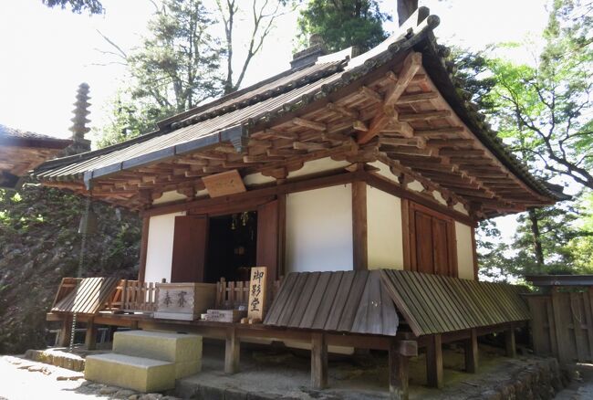 2016春、奈良のお寺の花(16/17)：室生寺(3)：石楠花、紫蝮草、地蔵尊、奥の院