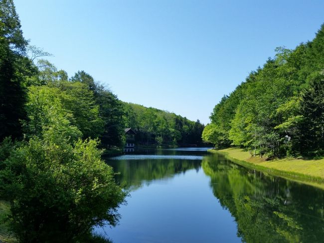 会社メンバーで北海道ゴルフに行ってきました。<br /><br />ニドムでゴルフ＆宿泊でした<br /><br />往　路：JL ITM 08:25-10:10 CTS<br />復　路：JL CTS 13:00-15:10 KIX<br />宿　泊：ニドム