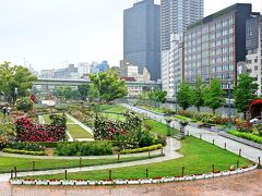 バラが咲く中之島公園～北浜界隈を"おとな旅あるき旅"