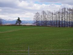 北海道案内～美瑛の青い池～