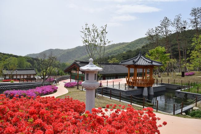 今回、慶尚北道にある星州という美しい名前の場所に行ってきました。<br />その名の通り(?!)自然を満喫できる、美しい場所でしたよ。<br />そして歴代の朝鮮王朝とも縁のある場所ということを今回初めて知りました。