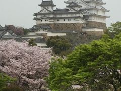 桜の季節の姫路城＆神戸クラブフロアステイ　～姫路城編～