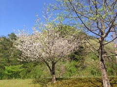 仁別温泉へ行く