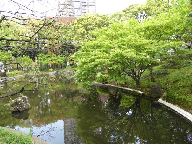 優雅な春の横浜を楽しむ旅♪　Ｖｏｌ10　☆横浜公園「スプリングフェア2016」：日本庭園を優雅に歩く♪