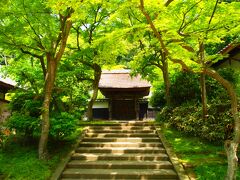 東の古寺巡礼・新緑の鎌倉～かいひん荘鎌倉に泊まる　１日目