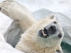 上野動物園