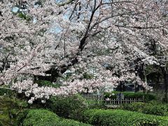 広島-8　縮景園a 大名庭園を大改修、歴史公園に　☆さくら咲く朝、新緑冴えて