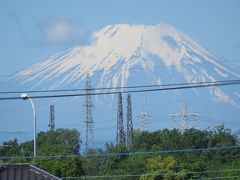 久しぶりに見られた富士山