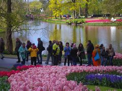 オランダ・スペイン　花の旅　NO.２　ついにキューケンホフ公園へ！　６時間滞在しても見きれない！