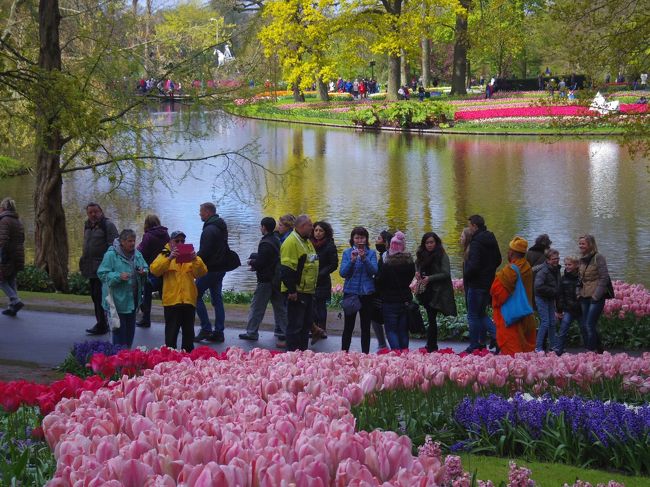 ４月２８日、オランダ２日目にキューケンホフ公園へ。<br />オランダは３泊して、うち天気の良い日にキューケンホフ公園へ行こうと計画。残念ながら、両日ともあまり天気はよくなさそうですが、今日の方が良さそうなので決行！<br /><br />ついに、あこがれのキューケンホフ公園へ行きました！