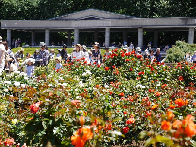 <br />東京調布市の神代植物公園のばら園に植えられた409品種・5,200株の春バラが見頃を迎えるのに合わせて行われるバラの祭典「春のバラフェスタ」に行ってみた。また、自然があふれ、参道のそば店が有名な深大寺にも行ってみた。<br /><br />