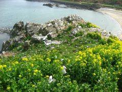 ’１６　ＧＷ青森＆北海道周遊９　八戸：みなと食堂の平目漬丼～蕪島～種差海岸