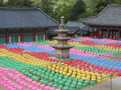 ひとり旅　釜山 　③　ず～～っと　行きたかった　海印寺　それにしても遠いわあ！