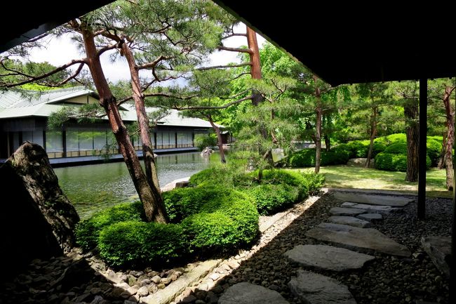 「京都迎賓館」がこのゴールデンウィーク中に一般公開されるというので行ってきました。朝9時からの先着順なので行列覚悟で早起きして並びましたが、案の定9時5分には1日1,500人の定員枠がなくなり、なんとか2回目の11時から入場。暇人ならではの特権です。<br />さらに、迎賓館が出来るまでは国賓の宿泊として使われていた「大宮御所」(仙洞御所)にも行ってみたいと思い、申込サイトを見たら、通常3ヶ月前予約でないと入れないのに、たまたまキャンセルが出たようで翌週に1人だけ空きがあったので早速申し込んだら見事当選。これまでなかなか入れなかった限定公開の「御所」と「仙洞御所」「桂離宮」「修学院離宮」「京都迎賓館」の5か所全部を制覇することになりました。<br />今年になって、「皇居乾通り」や「赤坂離宮」などに続き京都でも通年公開して、神社仏閣とはまた違う観光スポットにしようとする動きがあるのは結構なことですが、京都迎賓館の場合、建設費240億円、年間運営費6.8億円に対して利用実績は昨年2015年4回(赤坂離宮6回)、その前2014年は7回ずつという現状を見ると、外国人観光客だけでなく、日本人も含めてこれを活用するのは当然のことで、今後も四季折々に変貌する雅な景色を眺めるのが楽しみです。<br />「京都迎賓館」は、当初二つも迎賓館は要らないということもあって賛否両論ありましたが、京都の熱意で平安建都1200年を記念し2005年に建造されました。ブッシュ大統領から京都御所に泊まりたいとの要望があって、「大宮御所」は王室でないと泊まれないので造ったとも言われていますが、さすがに1200年の伝統を盛り込んだ建物は洋風とは異なる風格を感じます。<br />「建物」は茶室建築における「数奇屋」の伝統的な技術が随所に生かされ、内装には西陣織や蒔絵(まきえ)、錺(かざり)金物、截金(きりかね)、畳は1日1枚しか作れない中継表(なかつぎおもて)、テーブルや床の間などの漆塗り、和紙を使った建具、土壁は聚楽壁など伝統工芸品がふんだんに使われ、建築家からは、日本の伝統建築と現代建築を融合した「現代和風建築」として「今後の日本建築をリードする貴重な試み」と高い評価です。<br />「庭園」は日本伝統の「庭屋一如」(ていおくいちにょ)をコンセプトに「京都御苑」と一体となるように設計され、玄関前の「真の庭」、館内中央の「行の庭」、宿泊室前の「草の庭」という3つの庭園があり、桂離宮と修学院離宮の整備を手掛けている「佐野藤右衛門」の作なので、自ずと醸し出す雰囲気は「桂離宮」に似ていますが、1200年の歴史を持つ「御苑」や「仙洞御所」と並ぶと、その威厳さや重厚な風格は比べものになりません。1000年先までしっかり残して欲しいものです。<br />