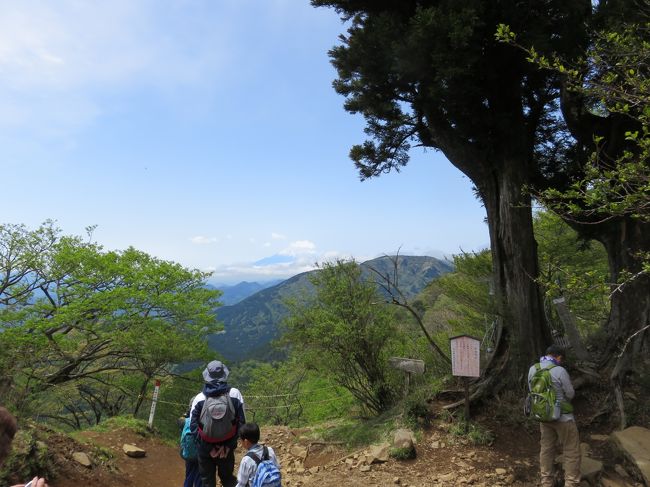 今年のゴールデンウィークはどこに行く訳でもなく、前半中盤のんびりしていました。<br />それでも一日くらいどこかに出かけてみようと考えた結果、日頃の体力不足を多少でも補う為、後半の土日のどちらかで山に登ることに。<br />近いところでメジャーな山を検索、大山が良さそうかなと。<br />車で行くこともできますが、ＧＷ渋滞で行き帰り疲れるのも嫌なことから、往復するだけでも多少安くなるフリーパスを購入。<br />思った以上にハードな道で関節痛が治まりません・・・。