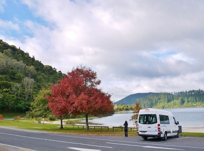 かつてから念願だった、ニュージーランド(北島)へ。<br /><br />オークランドでキャンパーバンを借りての<br />チープトリップwithオクサーン。<br /><br />総走行距離：1,075km<br />費用：一人当り15万円弱<br /><br /><br />キャンパーバン　レンタル編はこちら　↓<br />http://4travel.jp/travelogue/11129493<br /><br /><br />毎日、200-300km移動して、<br />日暮れ前にホリデーパーク(キャンプ場)にイン。<br />町のスーパーで食材を買い、パーク内のキッチンで料理し、そこで食べる。<br />自然と文化を経験してきた。<br /><br />総走行距離：1,075km<br />費用：一人当り15万円弱<br /><br /><br />＿＿＿＿＿＿＿＿＿＿＿＿＿＿＿＿＿＿＿＿＿＿＿＿<br /><br />【行程】<br />5/1　オークランド市内　アパート泊<br />5/2　 ロトルア ブルーレイクホリデーパーク泊<br />5/3 　タウポ 　ホリデーパーク泊<br />5/4　 ワイトモ　ホリデーパーク泊 <br />5/5　 マンガヌイ　ビーチサイドホリデーパーク泊 <br />5/6　 オークランド発<br /><br /> <br />【費用】<br />・中国南方航空往復：96,000円/1人<br />・キャンパーバン5日間：39,000円<br />・Road User Charge：5,500円/1,075km<br />・食費2人分：140＄(約10,500円)<br />・パーク宿泊費：13,400円/4泊<br />・給油3回： 8,300円/112L diesel<br />・admission：<br />　　ワイマング渓谷　37＄/人<br />　　オークランドZOO　28＄/人<br />　　ワイトモGLOWWARM cave 49＄/人<br />・SKYBUS：往復28＄/人<br />・MOTOLINKBUS：往復9＄/人<br /> （レートは1NZ$＝76円で計算）<br />