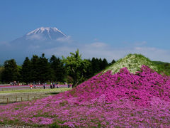 ツアーバスは富士山と芝桜咲く会場へ。