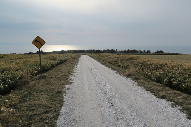 北海道に移住して初の道内宿泊旅行。<br /><br />行先は考えることもなく稚内地方へ。<br />昨年、出雲と稚内とどちらへ行こうか考えて考えた結果、出雲に行ってしまったのでまず行きたいと思った地。<br />往復ＪＲはお金も時間もかかるので節約型旅行をすべく、行は高速バス、帰りはＪＲにしました。観光を含めて充実した旅でした。<br /><br />今回の目的<br />①日本最北端のぴよぴよ（盲腸線）制覇<br />②宗谷岬<br />③宗谷丘陵