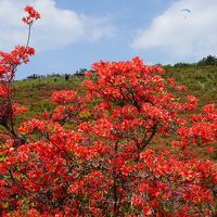 古市古墳群・当麻寺練供養から、御所まち・葛城山・葛城の道の旅（二日目・完）～ヤマト政権と婚姻関係もあった有力豪族葛城氏の本拠地。観光地としては微妙ですが、その埋もれてしまった感もまた一つの味わいです～