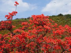 古市古墳群・当麻寺練供養から、御所まち・葛城山・葛城の道の旅（二日目・完）～ヤマト政権と婚姻関係もあった有力豪族葛城氏の本拠地。観光地としては微妙ですが、その埋もれてしまった感もまた一つの味わいです～