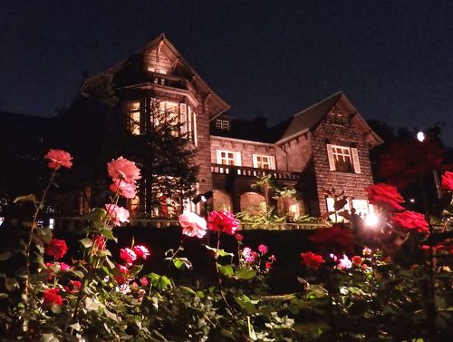 真夜中遊園地　30枚　バラ売り可能 夢限大みゅーたいぷ 3rd Single 「真夜中遊園地」｜ブシロード