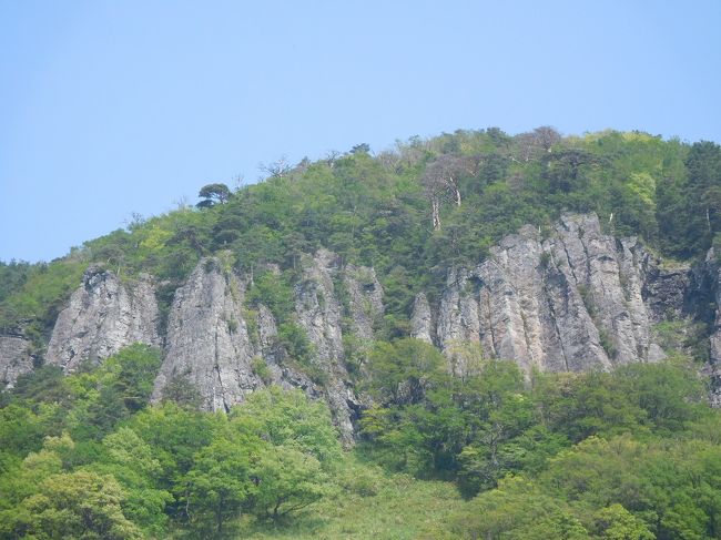 一つは旧国鉄倉吉線廃線跡。もう一つは大山東側に位置する船上山の屏風岩。どちらも似たところがあるのは確かだが、今回はそれぞれ特徴があって、たいへんおもしろかった。<br />参加したのは「JRで行く！びっくり鳥取」という個人ツアー。格安ながらツアーのしばりはほとんどない。JR特急も宿もコースも自分で思いのまま組み立てられる。JRでまず倉吉へ。レンタカーで「旧国鉄倉吉線廃線跡」に向かう。全国に廃線跡はたくさんあって歩けるところも多いが、ここはなんとレールや駅跡が残っているのが珍しい。<br />昭和６０年に廃線になったということで、レールなどを撤去する費用までおっつかなかったのだろう。すべてのレールがのこっているわけではないが、途切れながらもかなりの距離を歩くことができる。途中に竹林あり、レンゲ畑ありと、優雅なたたずまいの中を歩く。枕木の幅がちょうど歩幅と同じくらいで歩きやすい。駅跡に駅舎はさすがないものの、駅名を書いた看板はきちんと残っておりホームもある。ただトンネルは閉鎖されていて、トンネルにくるとやむを得ず引き返さなければならない。<br />（団体ツアーだとトンネルは開けてもらえるらしい。）<br /><br />あとおなじみの倉吉白壁土蔵群を散策して、打吹公園に登ってから三朝温泉に泊まる。ふつうなら三徳山が定番のコースだろうが、今回は断念。三朝の湯はいつもやさしくていい。ラドン温泉だそうだ。<br /><br />あくる日は大山の一画である船上山へ。この屏風岩がすごかった。高さは１００mを超すという。幅は定かでないが、１?近くになんなんとするのではないか。東坂登山口から屏風岩を横に眺めて、山上をめざす。屏風岩の上に出るというコースだ。これがかなりの急峻な上り。子どもなら１時間もかからないというが高齢者は汗をかきかき。大山特有のブナ林があったり、開けた山道があったり、登山道は変化に富んでいる。途中マムシがとぐろを巻いてしっぽを振って威嚇しているのに出くわしたのには驚いた。山上に着くと、千条のぞきという見晴らし台？があって、屏風岩を見下ろすようにできている。奈良の大峰山の修験場と同じしかけだが、とてもや装備無しでは巨岩の先まで近づけない。おそるおそる這いながら５mほど手前まで近寄るのが精一杯。久しぶりのトレッキングだったが、雄大な景色に出会えて達成感もじわじわとわきあがる。<br /><br />あとは一転琴浦町の海へでる。鳴り石の浜も日韓友好公園も、あまり知られていないが、やはり珍しくてきれいなところだった。山陰はどうしても時間がかかるが、それにも増して、いい経験ができた旅になった。