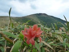 2015年5月15日（日）　蒜山（ひるせん）三座縦走：上蒜山→中蒜山→下蒜山（この内の上蒜山山頂～中蒜山山頂編）