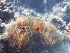 神々の住む島へ・・・パラワン諸島 ミニロックアイランドで過ごした夢の時間♪   最終話