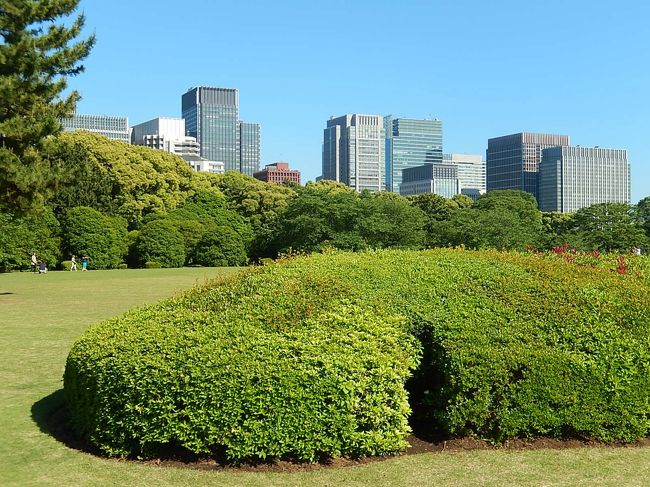 5月12日、午後2時半前に東御苑に入り、五月晴れの下の美しい二の丸庭園を見た後、汐見坂を上って本丸へ進んだ。 本丸には美しい芝生が広がっており、紫外線も強いために芝生にある木陰で涼んでいる人も見られた。 当方は日影が多い、竹の島、バラ園、野草の島等を歩いた。 バラ園ではこの時期が最も見ごろでハマナス等が美しかった。<br /><br /><br /><br />*写真は本丸芝生園