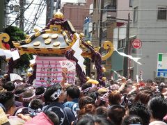 いくつになっても 大はしゃぎ！　2016年 浅草神社 「三社祭」
