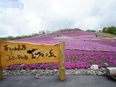 茶臼山高原芝桜の丘