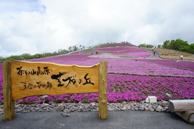 茶臼山高原芝桜の丘