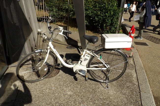 上野 公園 自転車