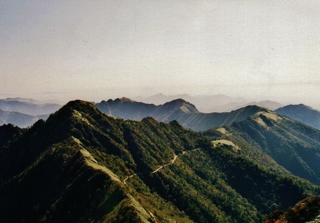 [西日本最高所道路から気軽に登れる超高山群]<br />西日本最高峰・石鎚山の最短登山コース登山口・土小屋から東方に延びる林道は、予佐越(よさこい)峠でUFOライン(いの町町道瓶ヶ森線)に接続される。UFOラインは旧寒風山トンネル東口まで27kmに亘って続くが、その最高所は標高約1700mで西日本一。愛媛・高知県境の長大な石鎚山脈沿いを走っているため、展望は雄大で、雲に覆われることもあり、雲上或いは雲中ドライブを楽しむことができる。<br /><br />その山脈の各高山には散策からハイキング程度で登れる山が多く、伊吹山(1502.8m)の最短登山コースでは僅か5分で登頂できる。一般観光客にも人気が高く、大平原を擁する四国第5位の標高を誇る瓶ヶ森(1896m)ですら、30分台で登頂可。西黒森(1861m)、自念子ノ頭(1701.5m)、東黒森(1735m)、伊予富士(1756m)等もそれ以下のハイキング程度の所要時間で登頂できる。皆、山頂や稜線は森林限界を超えた笹原なので、パノラマが広がる。<br /><br />また、山容が独特な子持権現山(1677m)の垂直の崖には、石鎚山より長い登攀鎖があり、道のない大アレ(1537.1m)や鷹ノ巣山(1596.2m)、潰ヶ谷山(1203m)は有名峰に登り飽きたピークハンターにとっては登り甲斐がある。<br />UFOライン沿いの高山群の登山コースについては、「山と高原地図 石鎚・四国剣山」(昭文社)を入手しておくと良い。<br />因みにUFOラインはUFOの目撃が多いことから名付けられた通称。<br /><br />UFOライン沿いの有名峰は皆、’90年代半ばに登頂しているので、特に登山するつもりはなく、今回は石鎚山脈屈指のアケボノツツジ群生の山・岩黒山(1745.6m)に登った。登山口は石鎚山と同じ土小屋。しかし事前(ＧＷ突入時)に問い合わせた久万高原町の観光部署の誤った回答により、先日登った土曜は、花は殆ど散っていた。町内屈指の観光山なのに、自治体が開花状況を把握していないとは、自治体の「姿勢(市政)」が問われかねない。<br /><br />岩黒山山頂からの展望は山脈の他の山同様、優れていたが、このまま帰路に着いたのであれば、一日が無駄になる。そこで以前登った時は天気が悪くなり、展望をあまり楽しめなかった四国第11位の標高の山、西黒森に登ることにし、車でUFOラインに移動した。<br />最短登山コースの登山口は瓶ヶ森との鞍部下、吉野川源流碑下方にあるが道標は設置されていない。因みに高知から徳島へと流れる吉野川の源流点は標高1200m地点にあり、沢沿に登山コースがある。<br /><br />登頂に要する時間は短時間だが、山頂直下では、ロープが欲しいほどの急勾配になっている。道沿いには一部、アケボノツツジの花弁も見られたが、ここは岩黒山より標高が高いためだろう。山頂周辺にはコメツツジ(開花はまだ)の小群落もあった。<br />コースからの展望はいいが、山頂自体は灌木が育っていたため、展望は消えていた。コースから山頂の北側にアケボノツツジの群生が見えていたので、ヤブをかき分けて進むと、北の小ピーク周辺に満開の群生があった。<br /><br />帰路は急勾配の起点の分岐まで引き返し、逆の南東に下ったが、こちらのコースにも満開のアケボノが随所に咲いていた。岩黒山との高度差は僅か100m少々なのに、開花にこんな差が出るとは意外だった。<br /><br />≪ワンポイント情報≫<br />［宿泊施設］<br />岩黒山から西黒森にかけての一般観光客向きの宿泊施設は二ヶ所。土小屋に国民宿舎・石鎚と白石ロッジ(久万高原町)、ＵＦＯライン沿いのシラザ峠に山荘しらさ(いの町)。<br /><br />［交通アプローチ］<br />土小屋へは登山シーズン期、松山市や久万高原町からバスの便があるが、日帰り登山に適した便はないかも知れない。<br />宿泊縦走登山が好きな方は、土小屋までバスで上がり、そこかシラザ峠まで縦走して一泊し、次の日、縦走路を西黒森まで縦走した後、瓶ヶ森へ引き返して西条市の西之川に下り、バスで西条市中心部へ向かうプランも考えられる。<br /><br />車では土小屋へは石鎚スカイライン経由と国道194号の高知・愛媛県境にある寒風山トンネルから旧寒風山トンネルに上がり、ＵＦＯラインを西進するルート、いの町の県道40号からよさこい峠に上がり、西進するルートがあるが、石鎚スカイラインは二車線なので走行し易い。<br /><br />石鎚スカイラインの麓の起点にはゲートがあるため、通行可能時間は5月まで7〜19時、6〜8月は20時まで、9〜11月は18時までとなっている。<br />ＵＦＯラインは現在工事のため、土日以外は時間制通行制限が行われている。