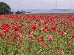 2016親孝行の旅～福岡・これが最後かもしれない生まれ故郷と原鶴温泉