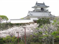 一時帰国03★浜松★桜を見に浜松城公園へ