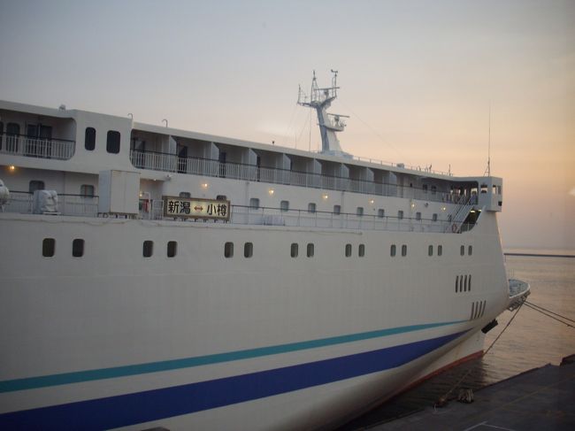  5月8日から１週間、急ぎ早に北海道・青森の桜旅をしてきた。　出発は北海道新幹線でなくて「日本海フェリー」だった。午前10時半に新潟港を出航したは翌朝早朝（4時半）に小樽港に着いた。<br /> 　船から見る夕日も素晴らしかったけれど、甲板から見る日本海の荒波が、「わが人生の思い出」をヒタヒタと打ち寄せて（思い出させて）くれた。<br /> 　船旅はいい。まるで江戸時代の粋人のような意心地にしてくれたのである。<br />　タクシーでＪＲの小樽駅に行き、コインロッカーに荷物を預けてから夜明けの街を歩くのは清清しい。公園は小高い丘陵だった。<br /> 　北海道の桜の開花は例年より8日早いとニュースで報道していたがそれはソメイヨシノのことだ。公園のあちこちに桜が咲いていた。満開を過ぎた桜もあったが散り際の桜もいい。<br /> 　私は桜種よりも桜の花を観て、その美しさと優しさに感動して、心が休まれば満足なのである。<br /> 　インターネットの「全国花見ガイド」によれば、「小樽公園にはエゾヤマザクラやソメイヨシノなど900本がある、」と載っていたが、純白の桜も見事だった。（ご老人に名前を訊いた分からなかった）　「糸括り」という珍しい桜のあるという情報を得ていたが、どれだか分からなかった。<br /> 　6時過ぎると頂上にある広場に老男女が集まって、楽しい朝の会話で賑わっていたが6時半になると一斉にラジオ体操が始まった。<br /> 　この頂上に昇るだけでも15分はかかる。歩いて、体操して、おしゃべりできる小樽市民は幸せだと思った。頂上から見える小樽港や市街地も素晴らしかった。向かい見える天狗山も朝日に輝いていた。<br /> 　7時近くなると小樽公園は静まり返った、私は公園のベンチで、船内のお土産売り場で買った鰊の蒲焼と妻が握った梅干のオニギリを鞄から取り出して桜を観ながらパクついた。近くで買った自動販売機のお茶も美味しかった。　決して豪華な朝食でないが至極、幸せな朝食だった。<br /> 　朝食後、市内をぶらつき、9時半のＪＲの快速で次なる目的地の札幌へ向かった.。もう一つの小樽の桜の名所手宮公園の桜は、時間がなくて行けなかった。長生きして、又、船で訪ねるぞ。<br />　　　　　　　　　　　　　　