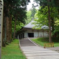 猊鼻渓→平泉→上坊牧野一本桜