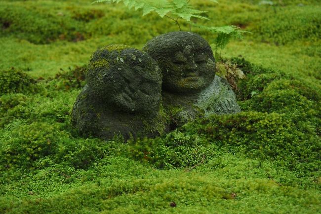 GWが終わり街の気配が日常モードに<br />戻っていくと、決まってどこかへ<br />行きたくなります。<br /><br />ちょうどぽっかりと空いた16~17日の2日間、<br />どうしても出かけたくなりました。<br /><br />予定がはっきりしたのが12日。<br />「そうだ、京都行こう」(笑)と思ったのが13日。<br /><br />さて、京都といってもどの辺へ?<br />今まで行った中から、気に入ったところを<br />再訪するだけでも充分楽しめますが…<br /><br />やっぱり1回の旅行につき1回は<br />「初めて」も欲しいし…<br />でもじっくり考えるには<br />ちょっと準備時間が足りません (^_^;)<br /><br />「しばらく行ってない大原もいいな、<br />そうすると1日は大原日帰り、残りは…」など<br />つらつら考えていたところ、<br />「いっそ大原に泊まってみたら?」と<br />閃きました (^^♪<br /><br />京都駅から路線バスで約1時間かかる<br />洛北の里山、大原。<br />関東から1泊2日の京都旅行、<br />その中での大原日帰りでは<br />現地で過ごせる時間はかなり短くなって<br />しまいます。<br />今までも何となく未消化の気分でした。<br /><br />泊まってゆったり里山の時間を味わってみようかな。<br /><br />運よく旅館の予約もできました。<br />(4トラ経由じゃらん利用)<br /><br />この段階で出発2日前の14日、土曜日。<br />あとはカメラを手に出かけるだけです !(^^)!<br />2日目、大原を出る時間と行先は<br />その時の気分次第で…<br /><br />※使用カメラ<br />OLYMPUS OM-D E-M5 MarkⅡ<br /><br />※表紙写真<br />三千院庭園 わらべ地蔵<br />
