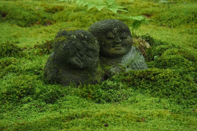 洛北の里山で深呼吸♪ 〈１〉和みの苔庭