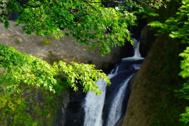 2016年5月，北関東の２県，茨城と栃木に行ってきました！<br /><br />【１日目】神戸から飛行機に乗って茨城へ。レンタカーで北へ向かいます。迫力の竜神大吊橋を見たあとは，奥久慈の名瀑，袋田の滝に向かいます。自然の絶景を味わったあとは，旧上岡(うわおか)小学校の校舎で，なつかしい気分に浸ります。<br /><br />日本列島色塗り大作戦，この旅で本州制覇〜(*&#39;▽&#39;)♪ﾔｯﾀｰ