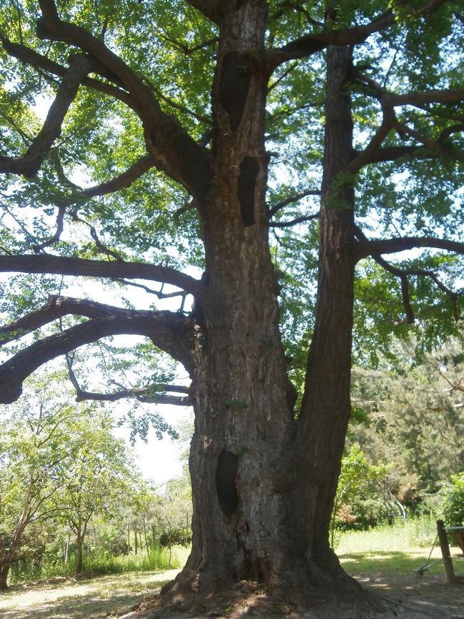 江南の世界遺産、王陵を歩いた