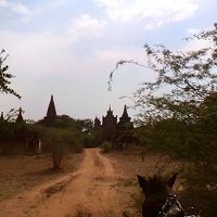 バガンに憧れて☆ひとり旅（２）ヤンゴン→バガン