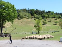 動物とのふれあいが楽しい♪食べても美味しい♪グリーン牧場♪