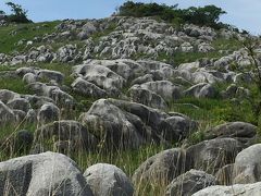 ★雄大なカルスト地形　　平尾台