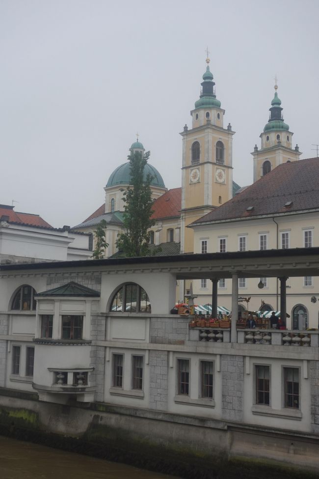 スロヴェニアの首都リュブヤナはルネッサンス・バロック・アールヌーヴォーとおのおのの建物が調和した素敵な建物が数ある街です。<br /><br />でもでも、鉛色の空に傘をさしての街歩き。拭いても拭いても雨の滴がカメラと仲良しになる。もっともっと素敵な街なのにちょっと寂しい雰囲気に感じちゃう。<br /><br />気持ちを切り替えて街歩きを始めます。<br />三本橋をはさんでリュブリャニツァ川沿いと旧市街を歩いて行きます。<br /><br />旅程<br /><br />５月１２日（木）　成田→フランクフルト乗継→ザグレブ（車中泊）<br />５月１３日（金）　ロヴィニ→モトヴン→グロジュナン→プーラ→ロヴィニ（泊）<br />５月１４日（土）　ロヴィニ→プーラ→リエカ→リュブリャナ（泊）<br />５月１５日（日）　リュブリャナ→パリ乗継→<br />５月１６日（月）　羽田
